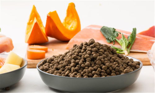 豆柴完成數(shù)千萬元A輪融資，金鼎資本領(lǐng)投，加速寵物食品市場布局