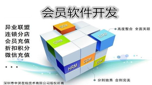 河源企業會員管理軟件開發基本功能詳解及上海軟件代理與開發服務分析